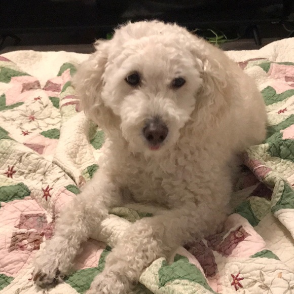 Meet your Posher, Tammy - Picture 1 of 1